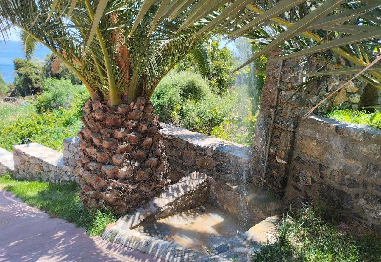 דירות Fotmar פלאקיאס מראה חיצוני תמונה